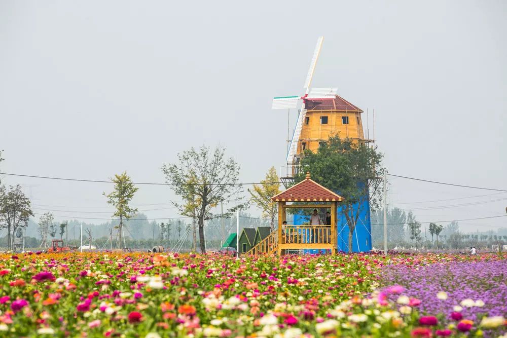 河南又增14家4a景区,郑州侯寨樱桃沟上榜!看看