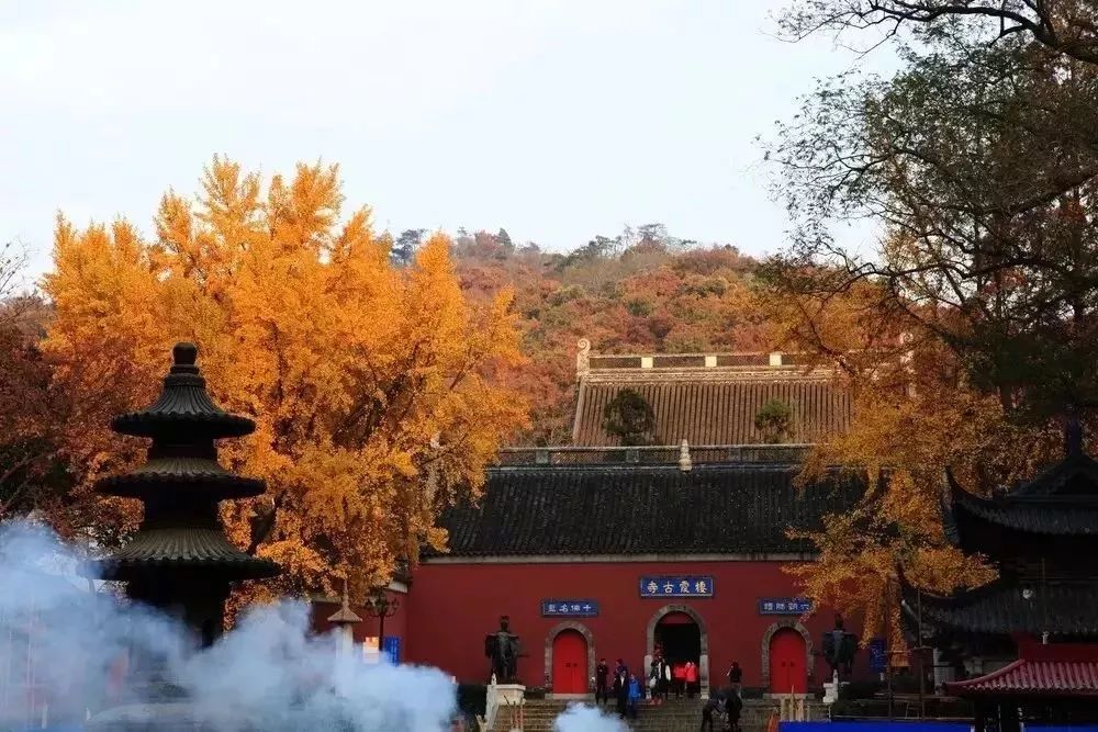 最新!3月起,南京46家景点免费开放日陆续到来!快收藏!