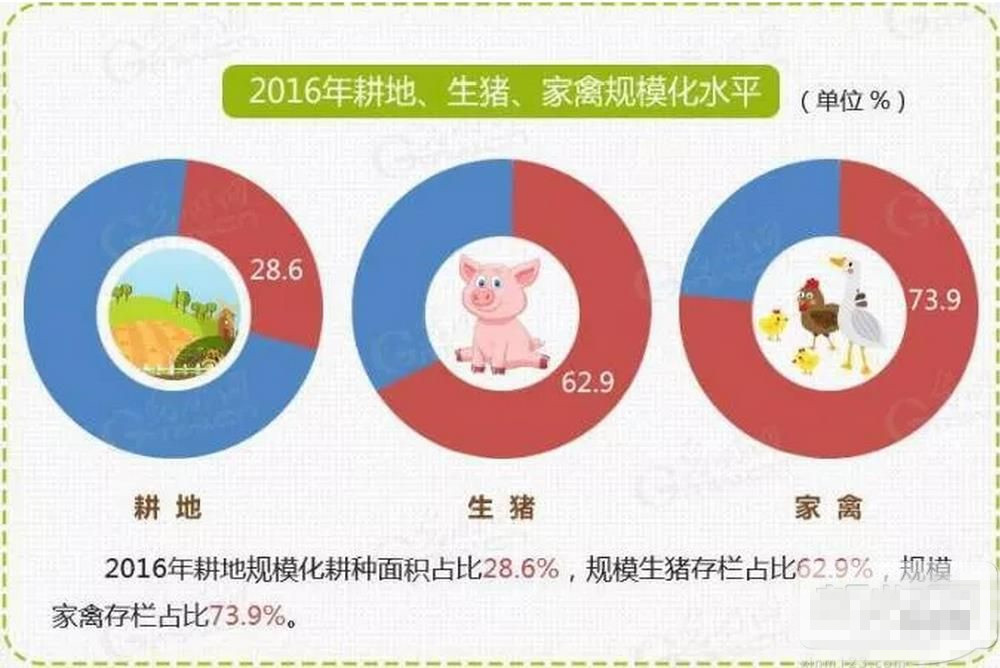 1100万人从事畜牧业!环保高压下明年有多少人