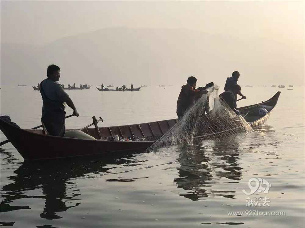 湖底捞金,封湖一年的海带湖开湖了!江川上万星云丝煮几分钟图片