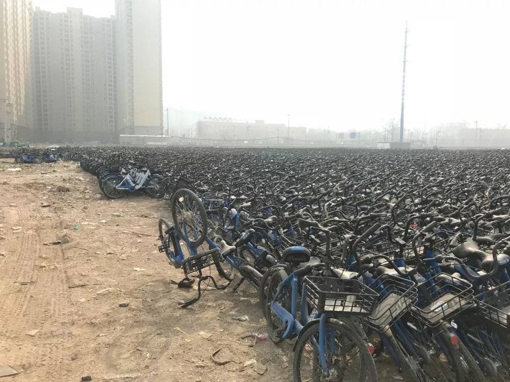 ofo和摩拜们的春天战事：不烧钱了，要挣钱