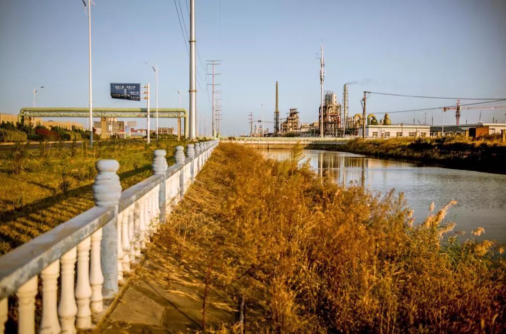 化工污染与工业侵占滩涂上的瘢痕|中国周刊|灌