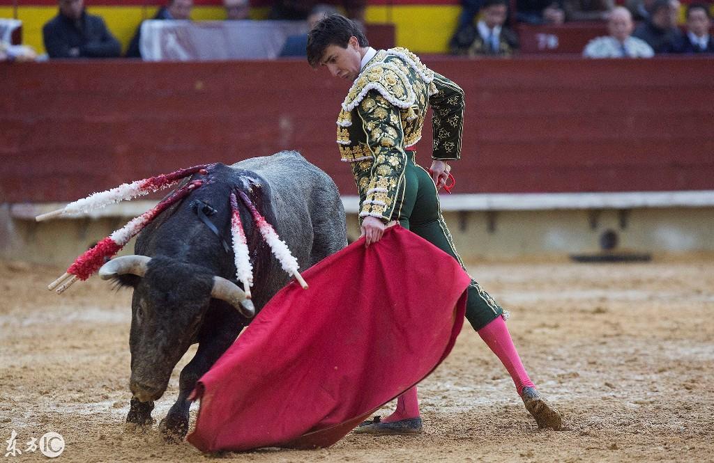 西班牙博览会期间,精彩的斗牛比赛,值得一看