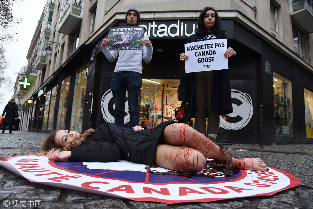 法国PETA成员街头流血躺尸 抗议加拿大鹅公