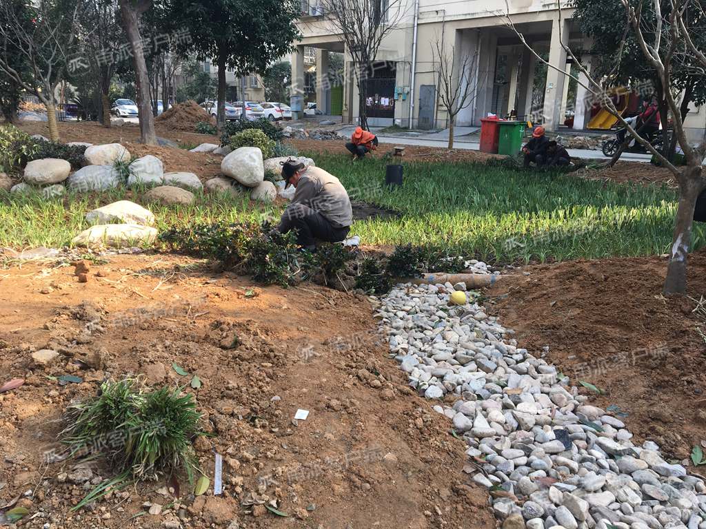 宁波这个小区好有爱:子女看望父母,每月可免费