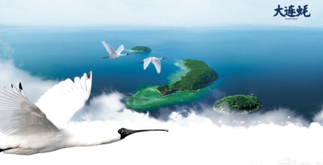 在生蚝最肥美的季节，就要最“鲜溜”地吃，快