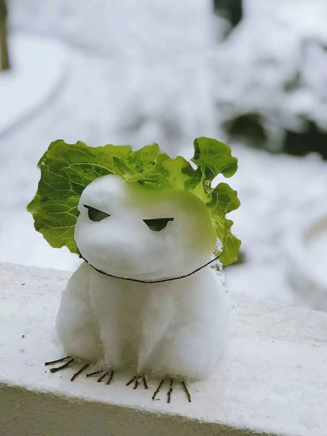 雪停了，地面湿滑，骨科专家教你“企鹅走路法”！（附一波美图）