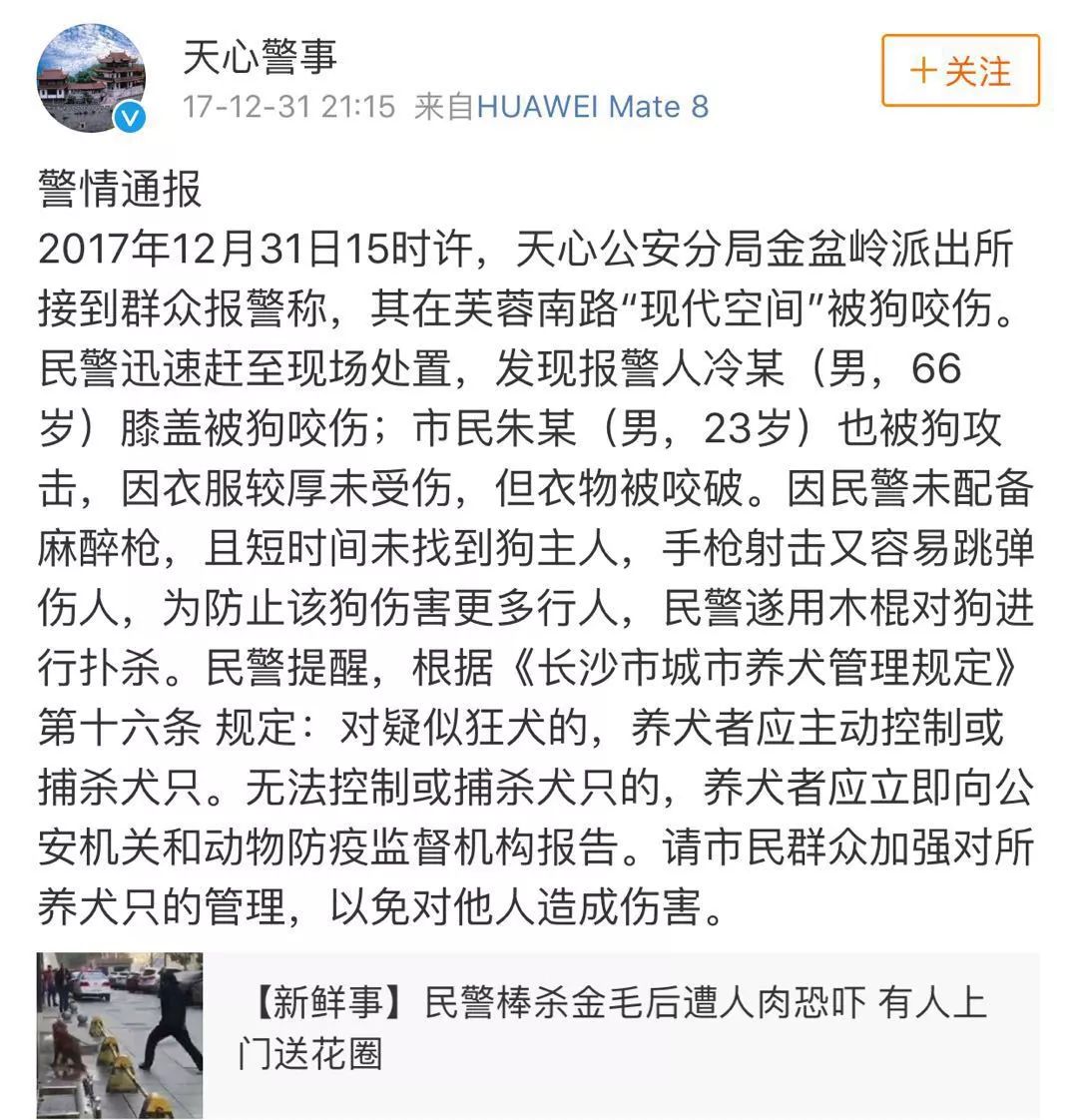 民警棒杀大金毛做法过分,还是"爱狗人士"的做法过分?