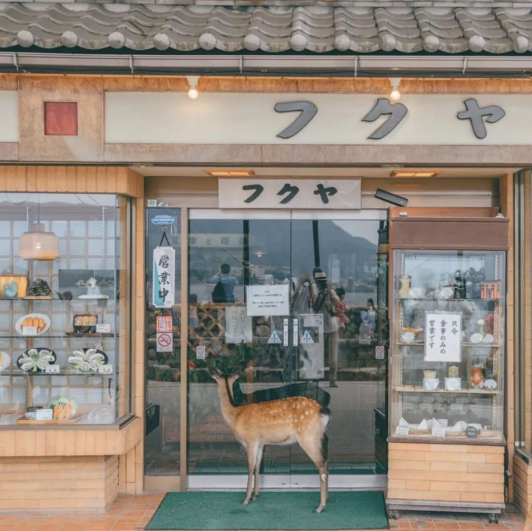 去日本,不懂日语没关系,但懂一点就会大不一样