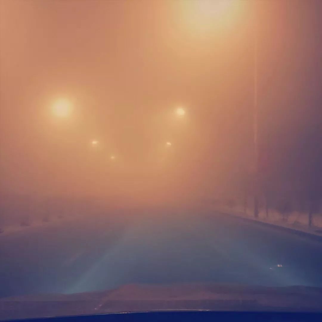 沈阳发布大雾红色预警!高速封闭、航班取消,交通…出门可得注意了!