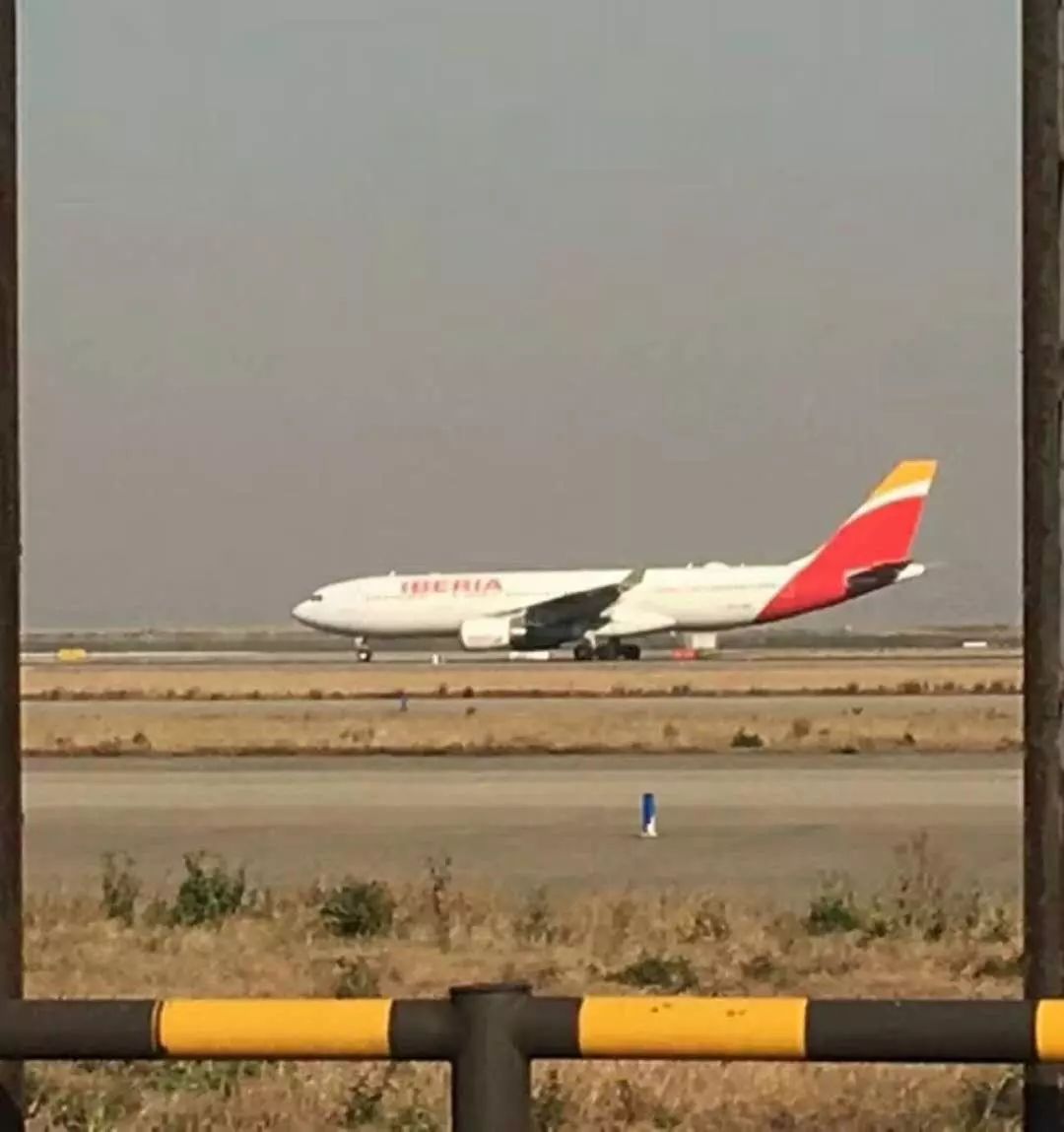 【紧急】上海飞马德里航班因机上乘客突发疾病