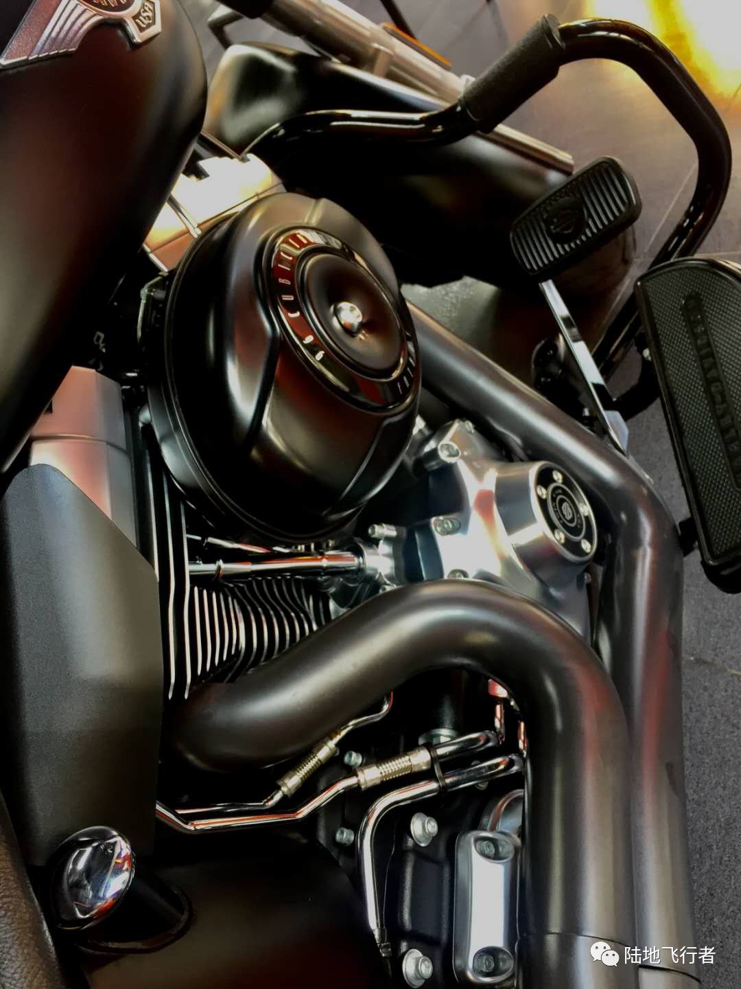 转让|河南洛阳2015年大贸哈雷肥仔