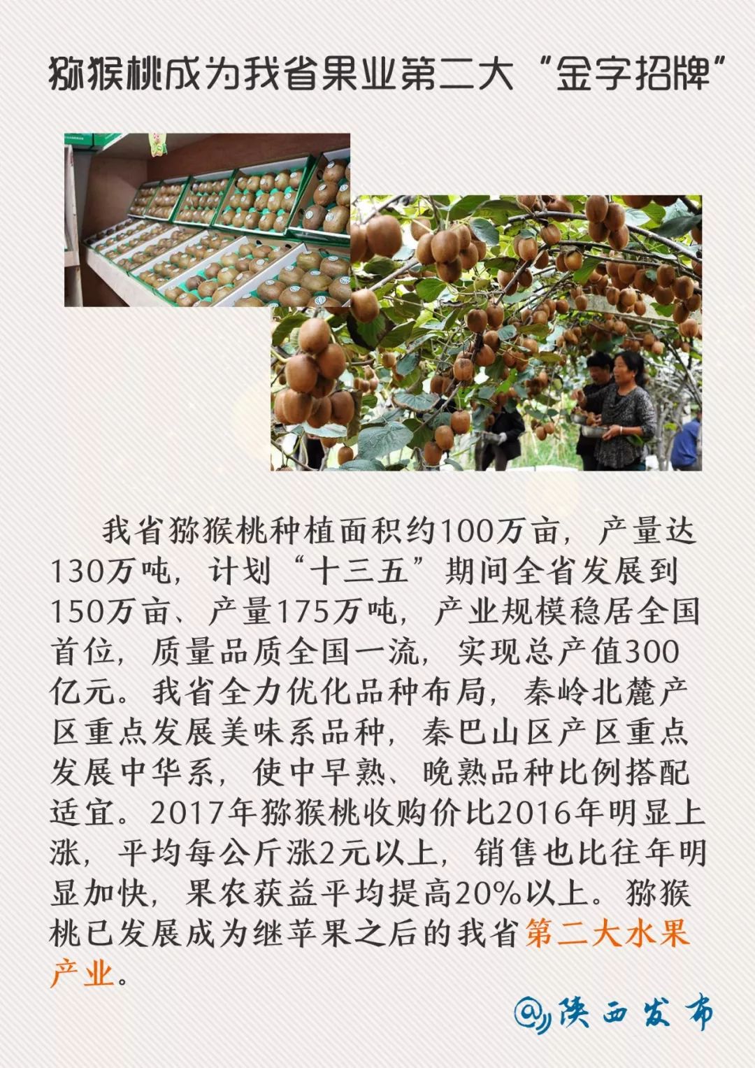 2017年陕西经济总量_陕西文化经济图(2)