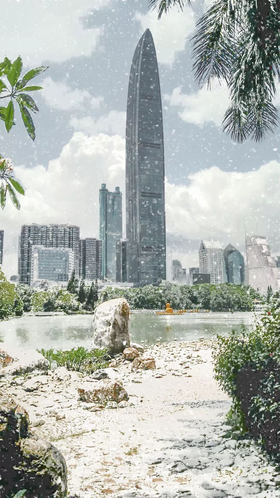 看深圳下雪了