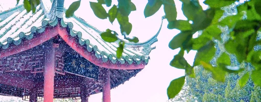 雪停了，地面湿滑，骨科专家教你“企鹅走路法”！（附一波美图）