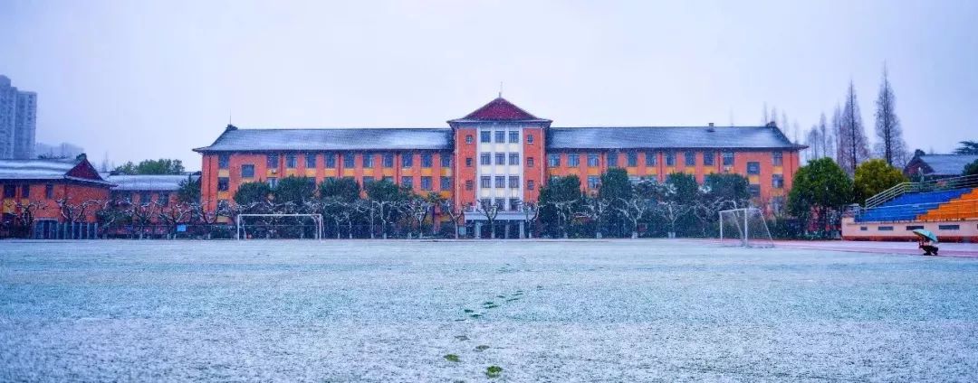 雪停了，地面湿滑，骨科专家教你“企鹅走路法”！（附一波美图）