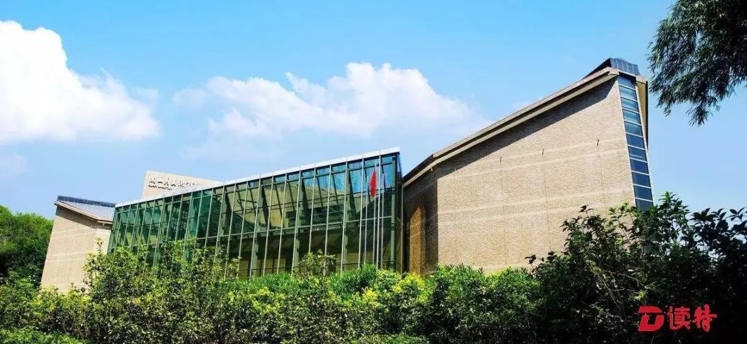 深圳年味今更足,数百项文化活动陪你过大年!