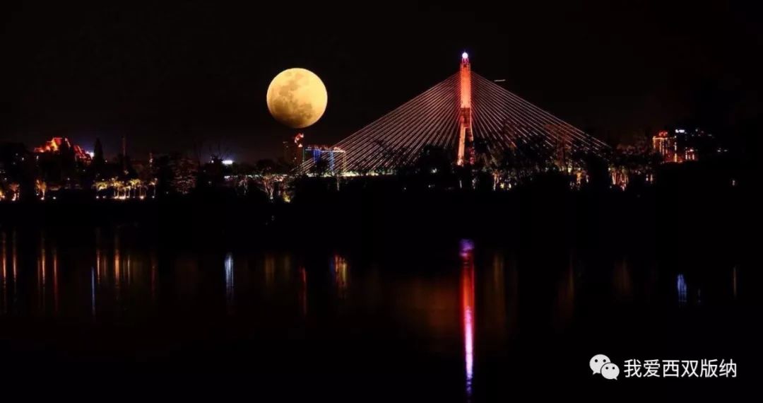 史上最堵!百万大军春节突袭版纳,多地沦陷!还有大批人马在前进