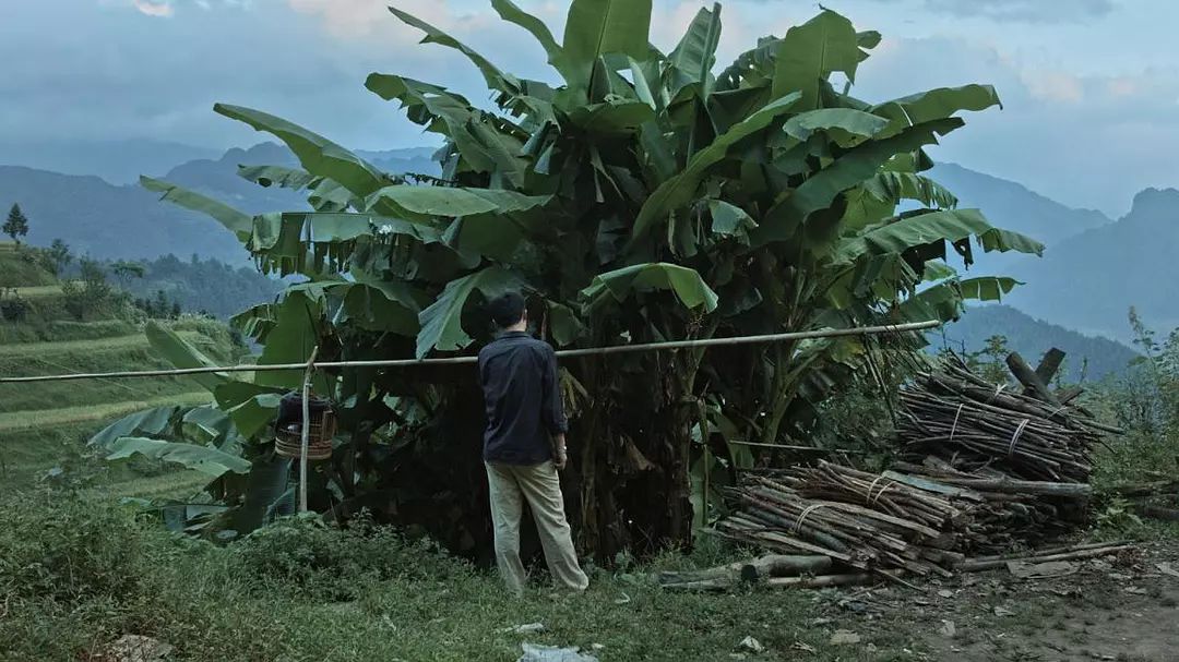 《狗十三》未映遭泄露,谁来保护我们的中国电