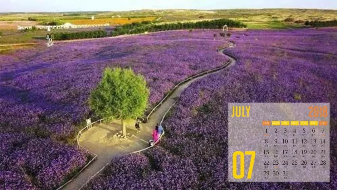 2018年银川的专属日历来了!已下载收藏…|花博