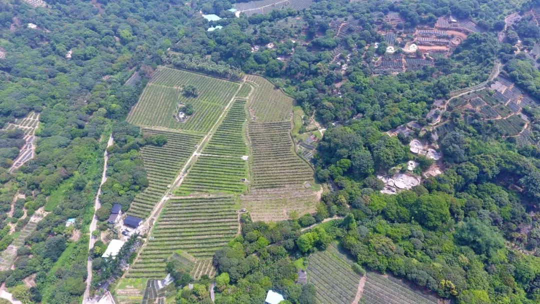 解读政府工作报告︱回顾2017年,展望2018年