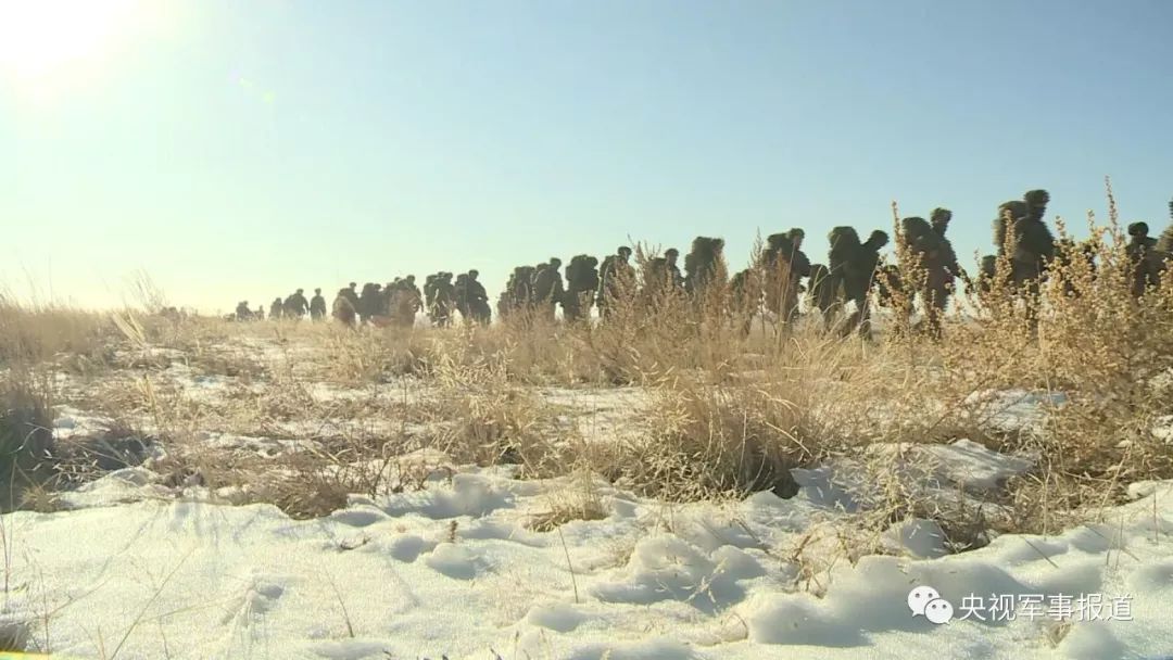 走近朱日和之狼 忠诚使命铸就新一代蓝军人