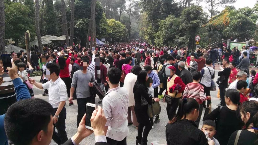 广西这些景区春节期间:人人人，堵堵堵!