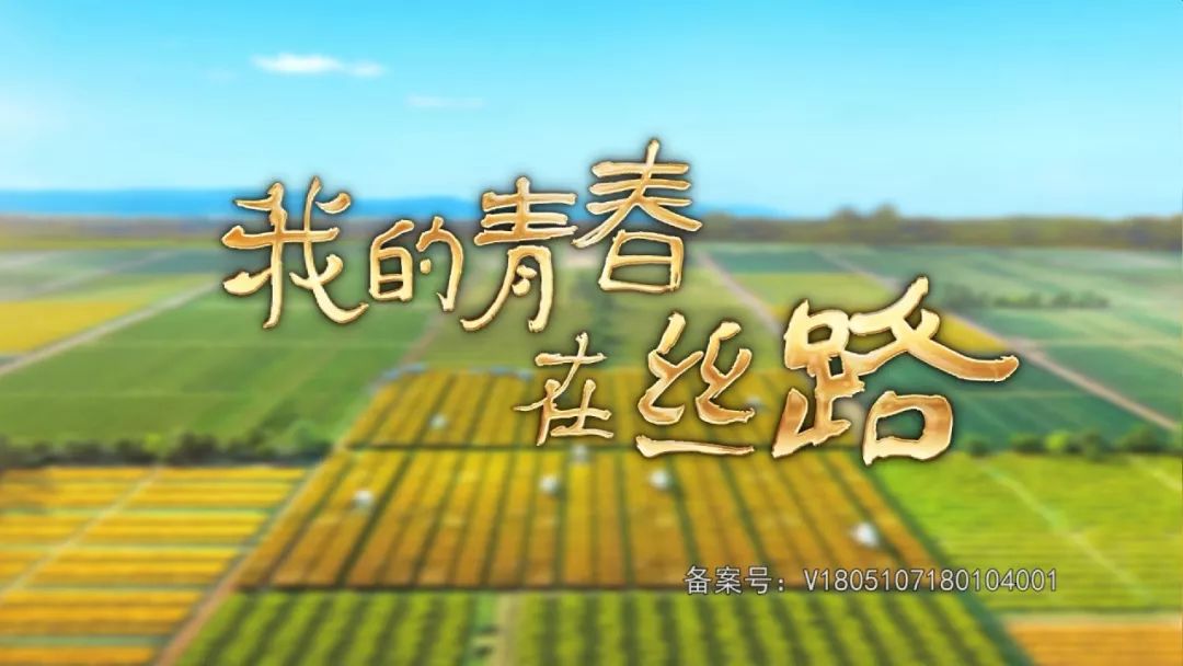 路》,芒果TV如何开拓青春系主旋律纪录片?