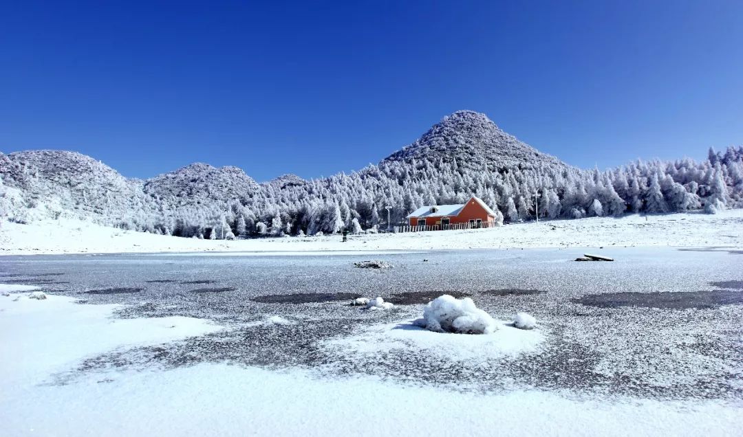 这个冬天,只为你写诗|薛乐生|尚建周|张争鸣