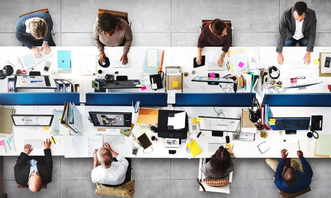 豪砸40亿美元,亚马逊造把热带雨林塞进了新办公室,服!