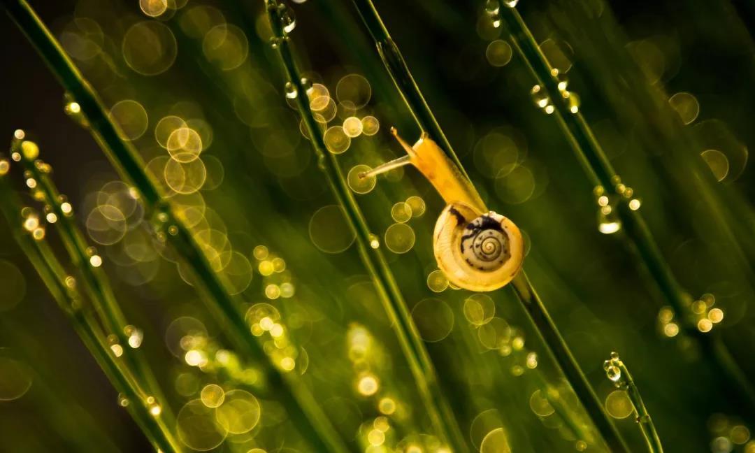 夜读丨好雨知时节,当春乃发生