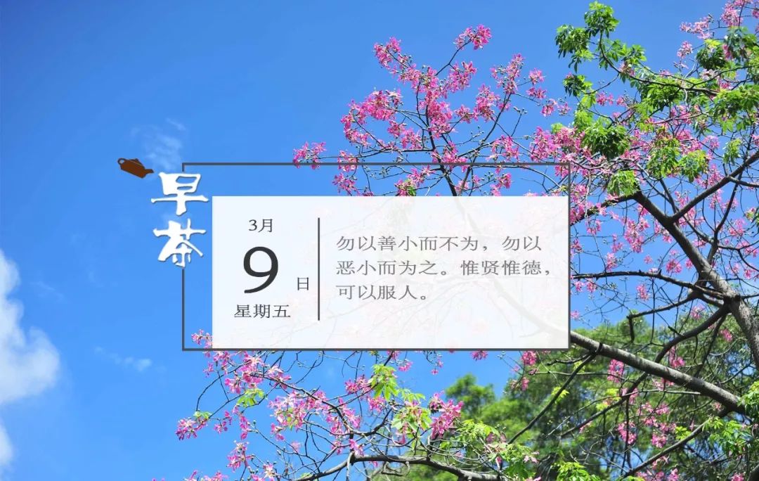 广东 人口 十二五_广东人口地图(3)