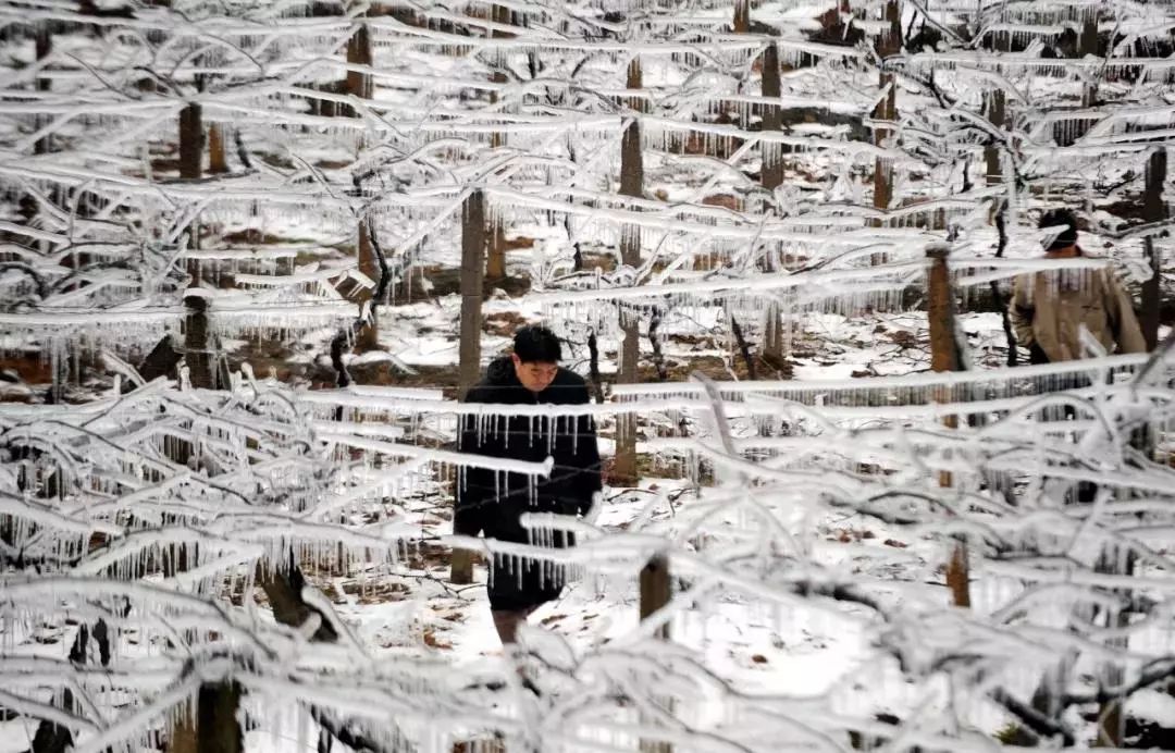 时隔10年,2008长沙那场冰冻灾害,给你留下怎样的记忆?