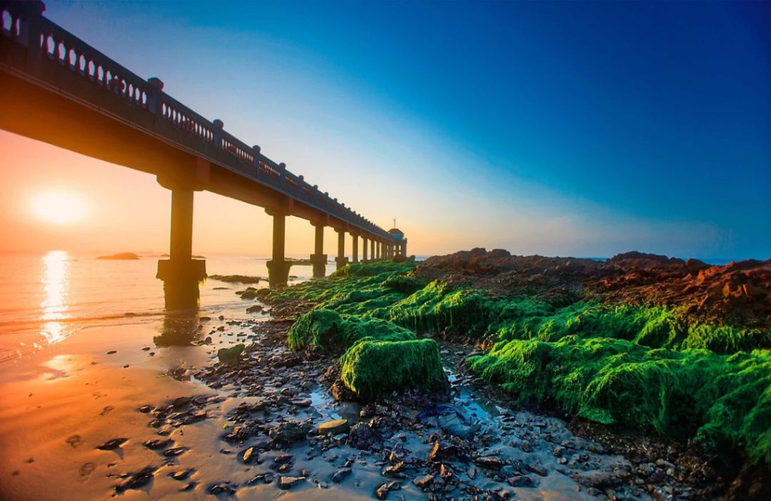 只要228元!现在流行环岛高铁游海南，去最大免税店买买买!