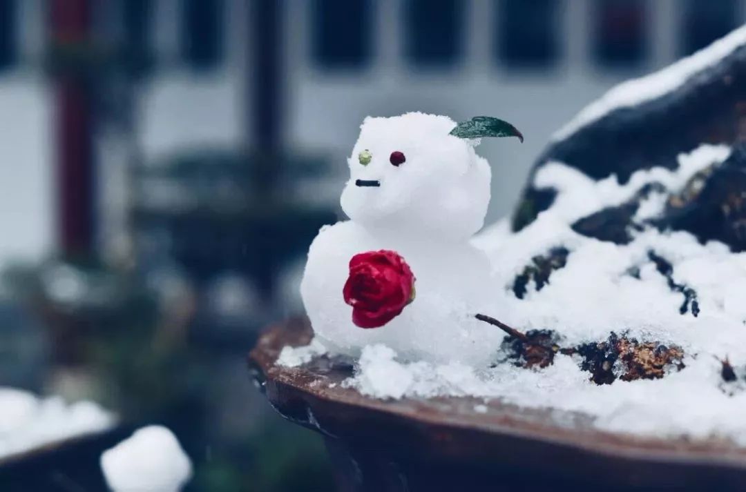 雪停了，地面湿滑，骨科专家教你“企鹅走路法”！（附一波美图）