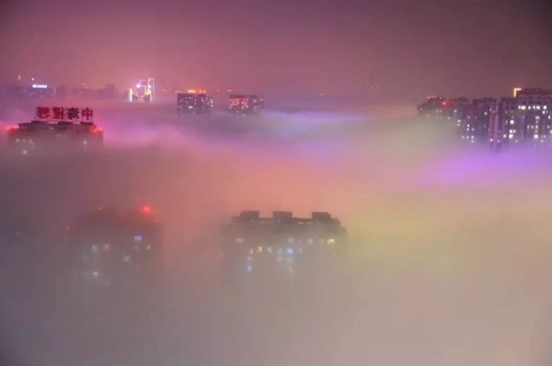 沈阳发布大雾红色预警!高速封闭、航班取消,交通…出门可得注意了!