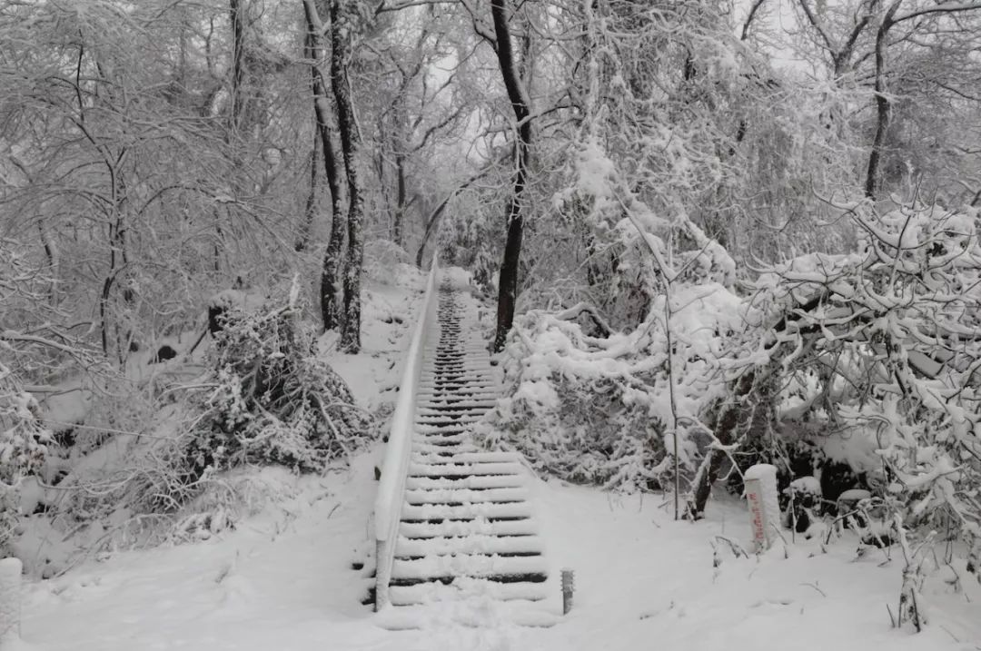 熄灯号|2018,面对部队调整改革,我坚守自己的初