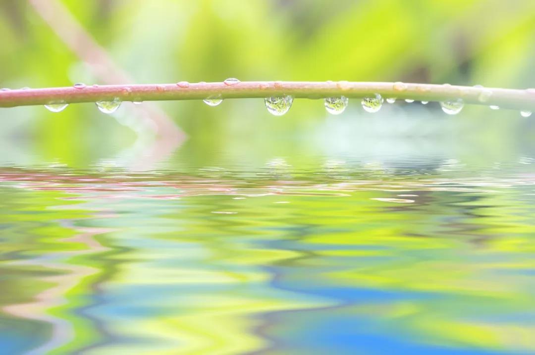 夜读丨好雨知时节,当春乃发生