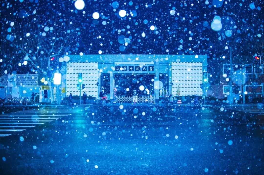雪停了，地面湿滑，骨科专家教你“企鹅走路法”！（附一波美图）