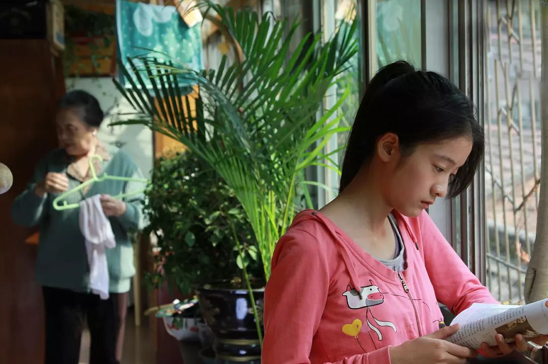 《狗十三》未映遭泄露,谁来保护我们的中国电