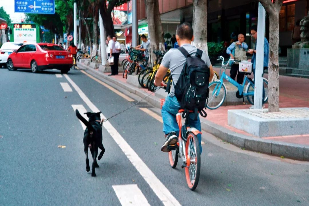你很难想象广州人对于猫猫狗狗是怎样的感情!(送门票啦)