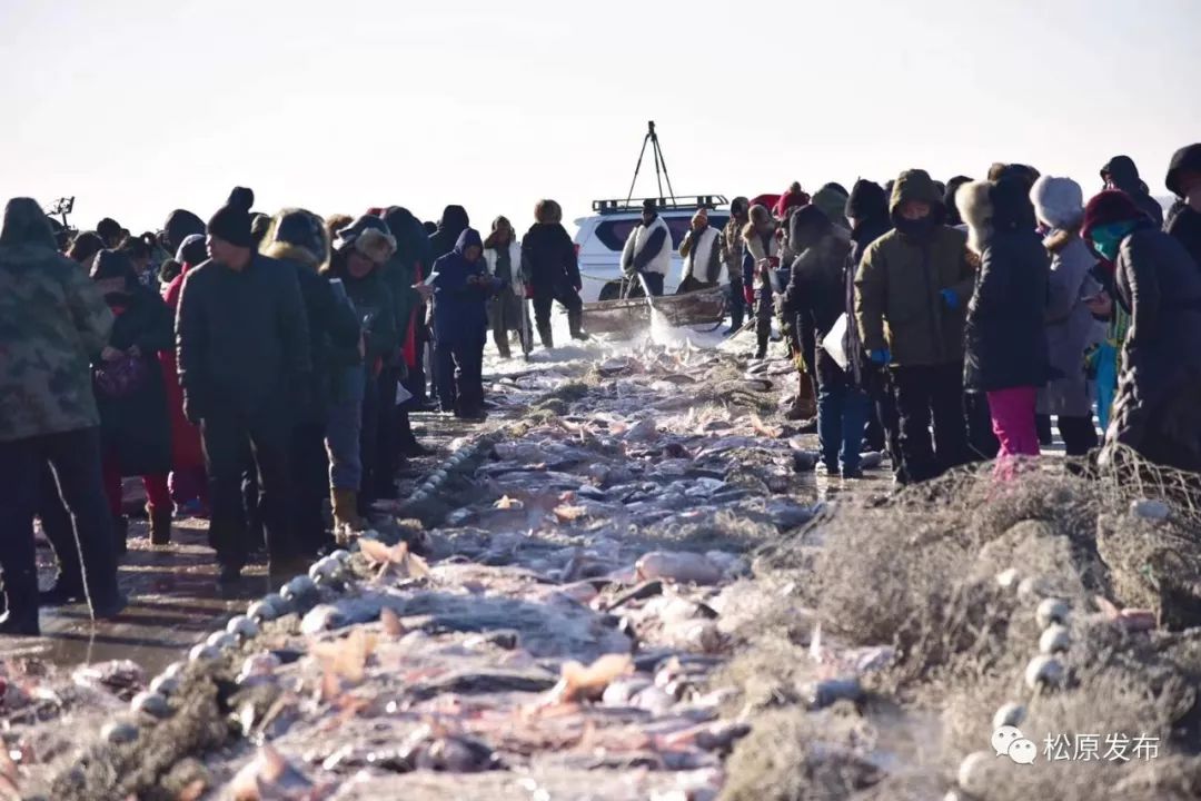 查干湖冬捕今日开幕 "头鱼"拍出918888元!(内含历年头鱼拍卖成交价格)|拍卖|查干湖|旅游节_新浪新闻