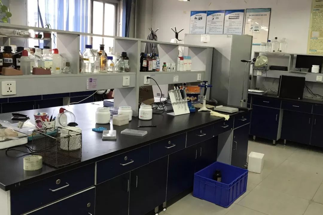 溺亡博士导师处理结果公布:研究生招生资格被