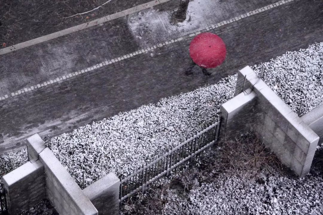 我在上海,大雪纷飞~花式晒雪大赛你赢了吗?目