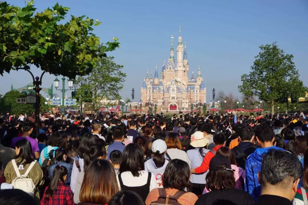 上海人口碑_上海人身份证图片(2)