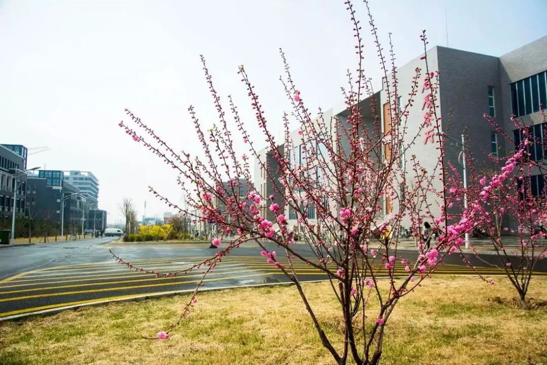 2018中国最好大学排名发布！太原8所高校上榜！有你母校没