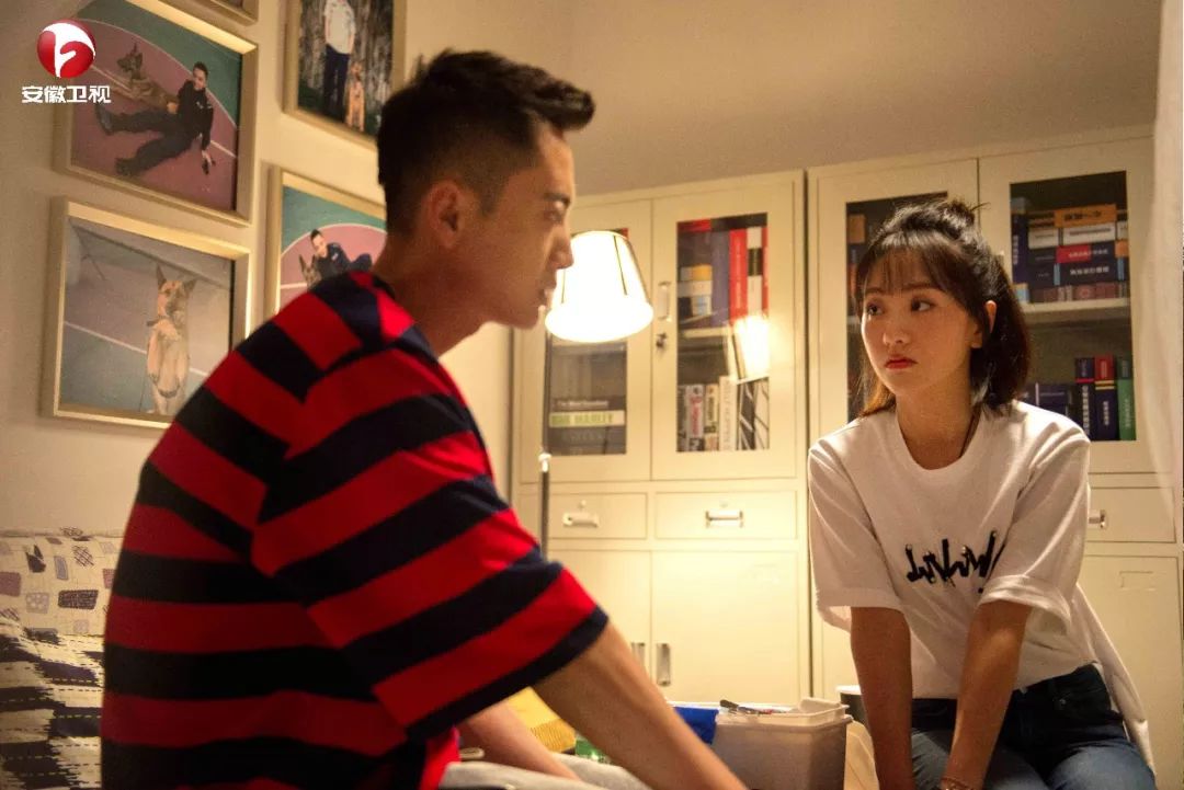 《警犬来啦》今起独播 安徽卫视“明星狗”提早贺新春