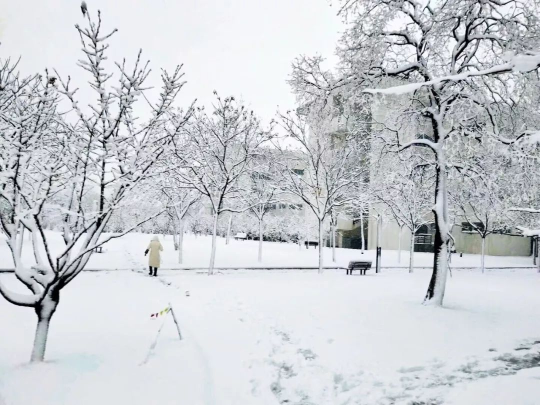 冬天雪球图片,雪球图片卡通图片 - 伤感说说吧