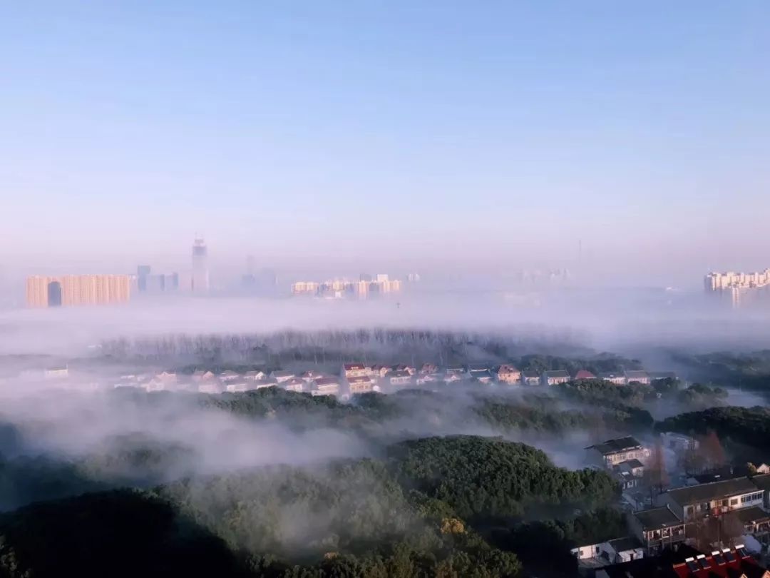 今早上海大雾迷城!摆脱上周的冰窖,本周骤变春