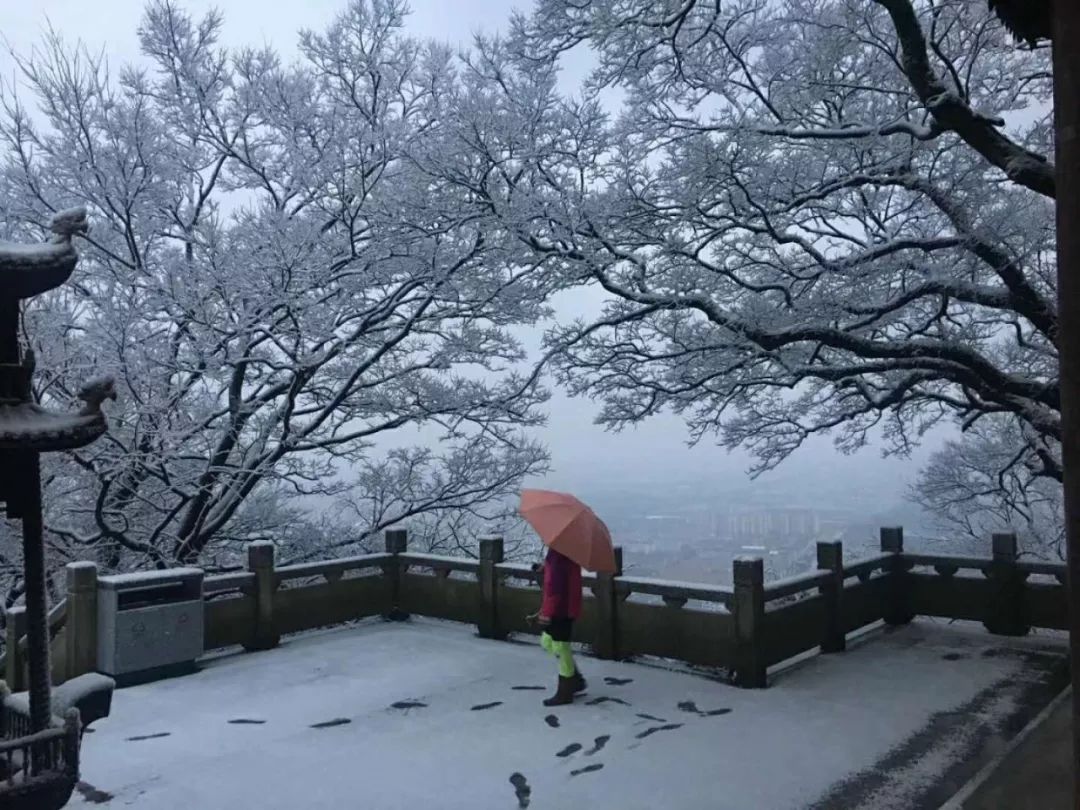 等啊等,宁波市区的雪还会下吗?最新天气预报来